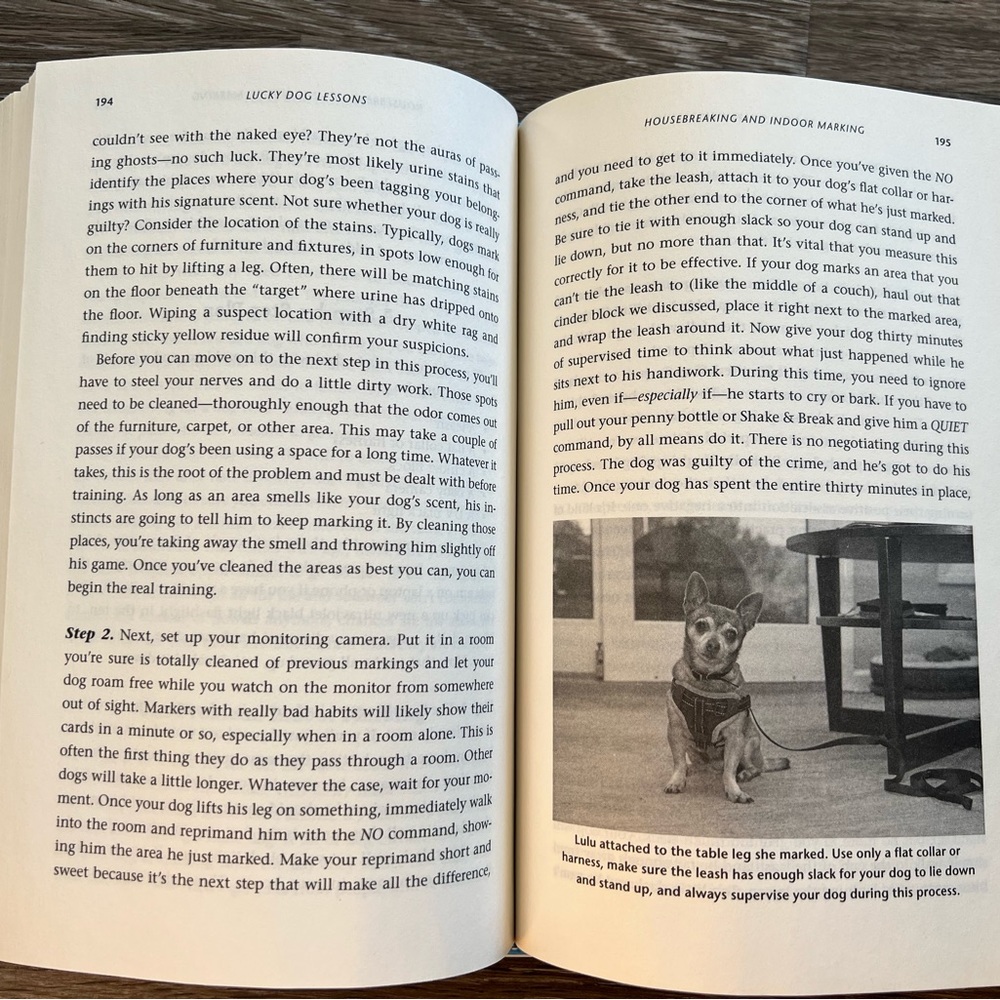 Lucky Dog Lessons book - Picture 4 of 5